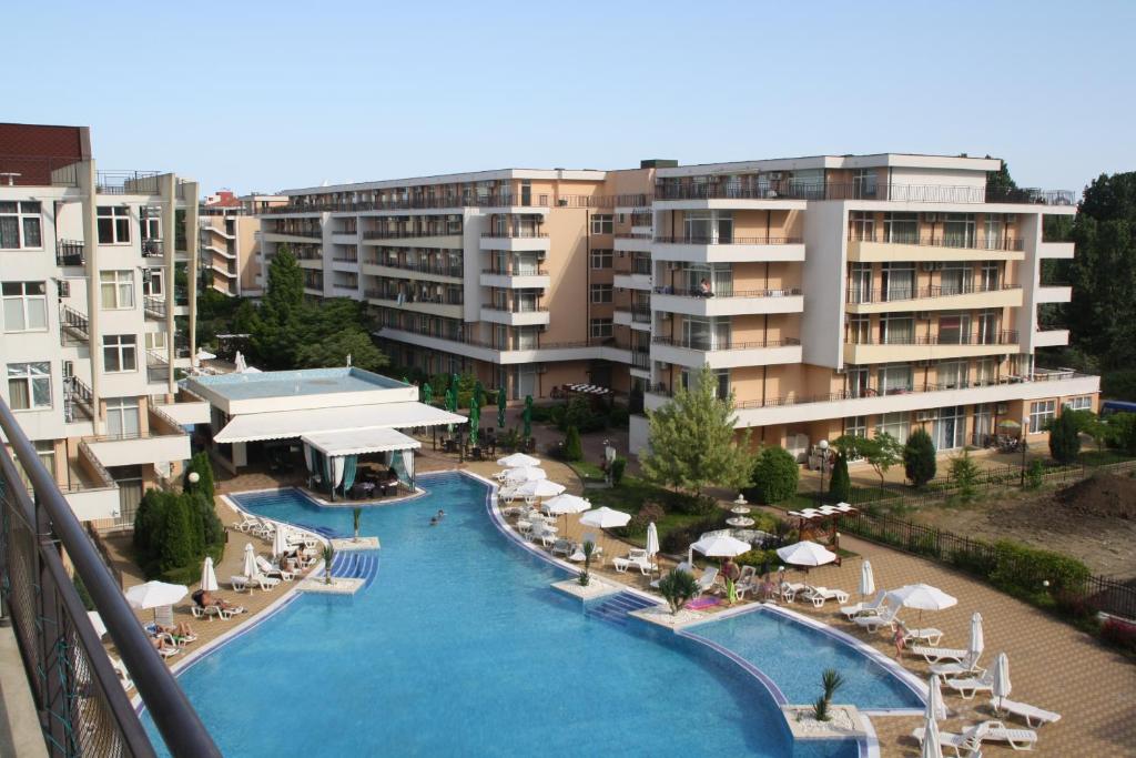 Grand Kamelia