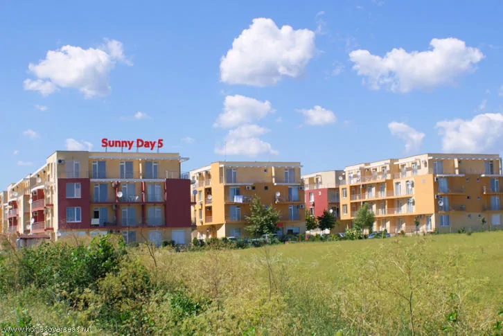 Sunny Day 5